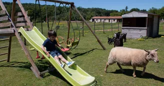 les jeux d'enfants dans le parc des chèvres._21