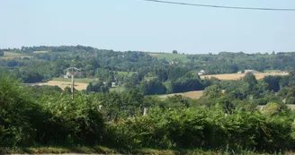 Gite "Papesoleil" à Saint Yrieix La Perche en Haute-Vienne (Limousin)_29