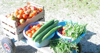 vente légumes sur place