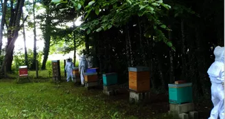 Le jardin aux abeilles à Magnac-Bourg