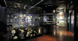Musée de la minéralogie et de la pétrographie