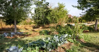 Le jardin de permaculture, Cha&#770;teau de la Borie_4