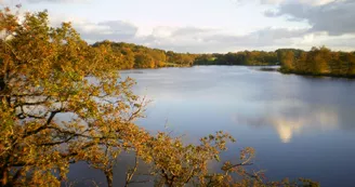 vue de l'étang depuis la butte à bruyères_2