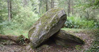 Circuit du dolmen de la Goupillère_5
