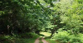 Sentier Le Bois du Curé et des mille Diables_2