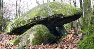 Base Uni'Vert Trail des Monts d'Ambazac - Le sentier du dolmen_2