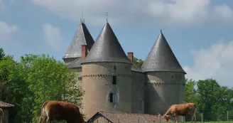 Château de Brie_1