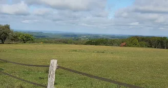 panorama Mont Gargan