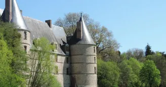 9903460.jpg