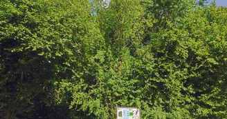 Arboretum Laigné en Belin