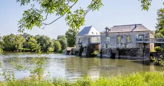 Bords du Loir à Villevêque - Rives du Loir en Anjou_1