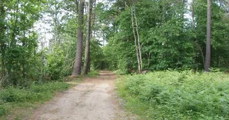 Chemin de randonnées de Saint-Jean-du-Bois
