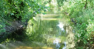 La Boutonne à Saint-Jean d'Angély