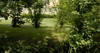 Arboretum Blanzaguet-St-Cybard