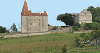 Le château de Chillac