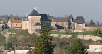 Vue sur le château de Chalais