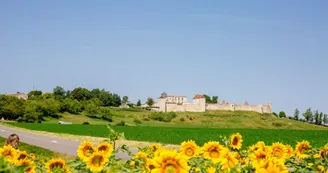 Vue sur le château de Villebois Lavalette