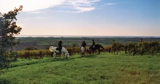 Route des Cardinaux en Pays de Haute-Saintonge randonnee equestre d Artagnan 3
