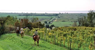 Route des Cardinaux en Pays de Haute-Saintonge randonnee equestre d Artagnan 4