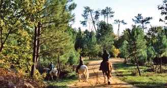 Route des Cardinaux en Pays de Haute-Saintonge randonnee equestre d Artagnan
