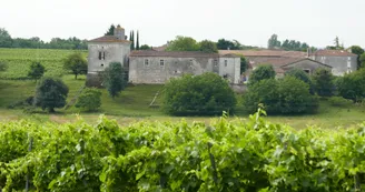 Château Maillou