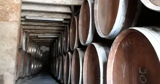 Fabrication de cognac - Ligné
