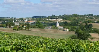Rayonnantes de Haute Saintonge N5 et N6 Jonzac - Mirambeau - Vitrezay Gironde 2