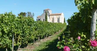 Rayonnantes de Haute-Saintonge N4 Jonzac - Archiac Vignoble du Cognac vignes