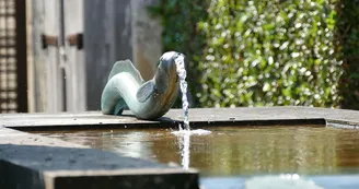 Anguille de Pons legende Hopital des Pelerins jardin medicinal pelerins UNESCO