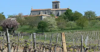 Eglise Ste-Lheurine Vignoble du Cognac Haute-Saintonge panorama moulin Arthus