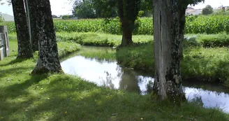 Ruisseau du Perat aire de pique-nique halte equestre St-Martial-sur-Ne