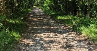 Chemin du circuit des Chaumes - Graves St-Amant