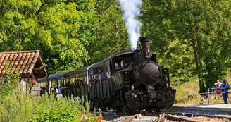 le train de l'Ardèche Lamastre