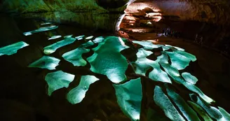 Grotte de Saint-Marcel-D'Ardèche