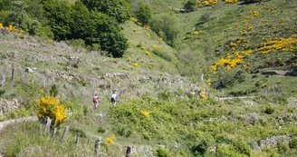 Sur les routes de l'Ardéchoise