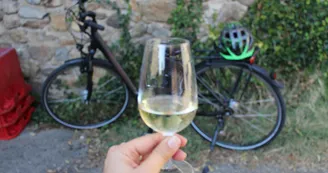 Circuit VAE : Vignes suspendues