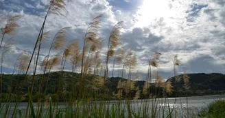 Vue sur le Rhône à Serrières