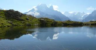 Tour du Mont Blanc en 12 jours