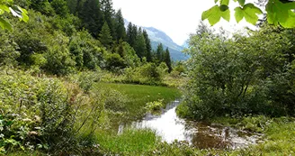 Tour du Mont Blanc en 12 jours