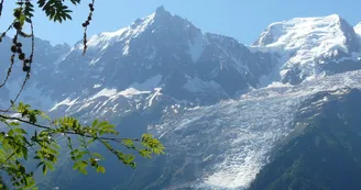 Tour du Mont Blanc en 12 jours