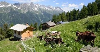 alpage de blaitière chamonix 2