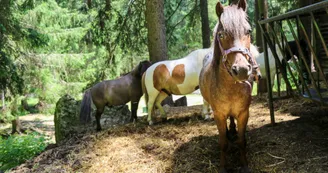 Balade Paradis des Praz