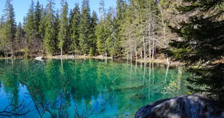 Randonnée Lac Vert