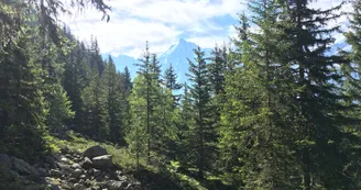 sentier aiguillette des Houches