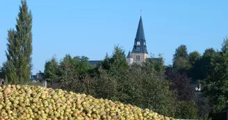 Champ de pommes à Cormeilles © ADT de l'Eure, E. Rangée