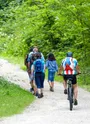 Wanderer und Mountainbiker gemeinsam auf Forststraße