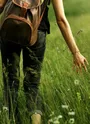 woman traveler walking among grass in meadow and holding in hand gathering wildflowers in mountains in sunlight, back view,  space for text