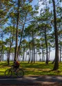 velo bord de lac arbre piste cyclable (3) verneuil