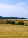 Vue Saint Rémy en Rollat