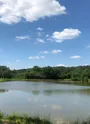 Balade de l'étang des Baillys